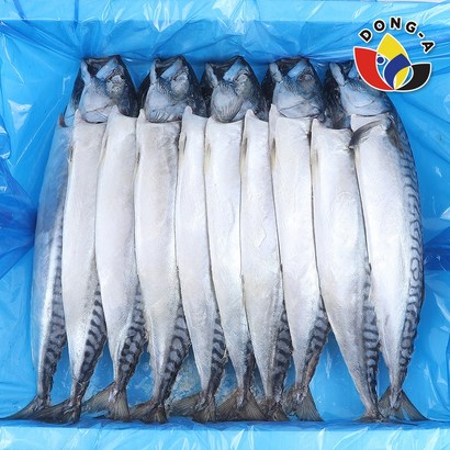 [동아푸드] 노르웨이 큰 간고등어 10마리(5손) / 대 중, 1개, 2.2kg