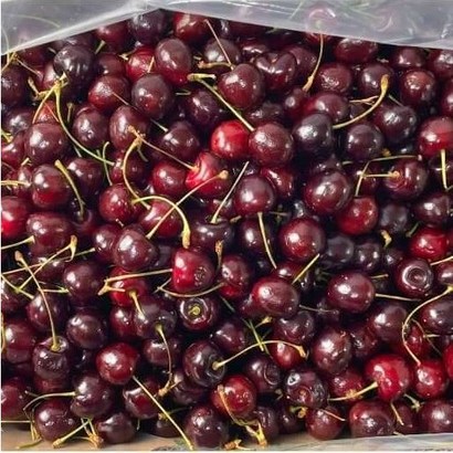 미국/칠레 톡톡 달달한 항공직송 프리미엄 생체리 고당도 17브릭스