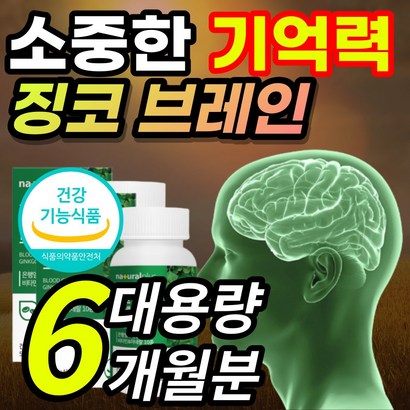 식약처인증 대용량 징코 브레인 기억력 감퇴 저하 혈행 개선 도움 플라보놀 배당체 은행잎 은행입 추출물 함유 부모님 노인 어르신  알 약 케이스증정