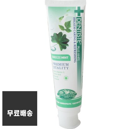 [공식몰] 덴티스테 치약 브리즈민트 본품   구성 입냄새 구취 제거