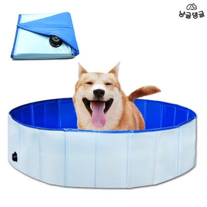 냥글댕글 강아지 수영장 애견 접이식 욕조 고양이 목욕통