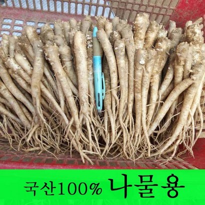[금산도라지] 직접재배한 생도라지 >산지직송>국산도라지 약도라지 엑기스용 나물용 무침 정과용 배즙용 *국산*