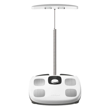 인바디 다이얼 체지방계, H30NWi, 화이트, 1개