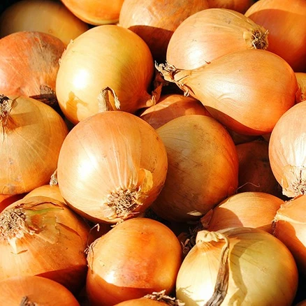 달달하고 아삭한 고령 햇양파, 1개, 고령양파 소 1kg