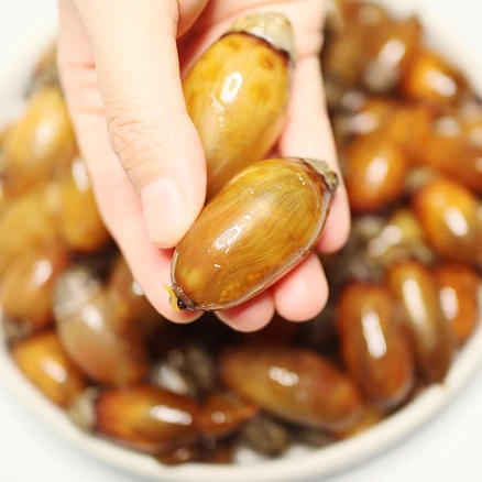 장보고닷컴 당일생산 손질 세척 싱싱 미더덕, 제철 미더덕 500g, 1개