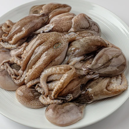 [알통통] 당일조업 생물 알쭈꾸미 활주꾸미, 1박스, 1kg