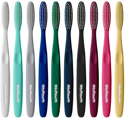 웰킵스 웰티스 빅헤드44 이중미세모 칫솔, 10개입, 1개