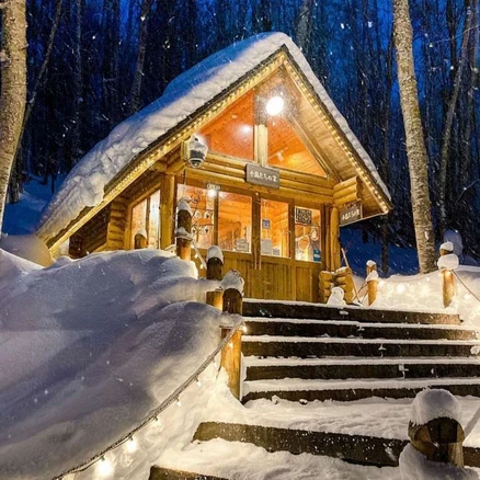 [일본 북해도 삿포로] [3월특가][준페이예약] 북해도 비에이&후라노 버스투어 (라쿠투어)