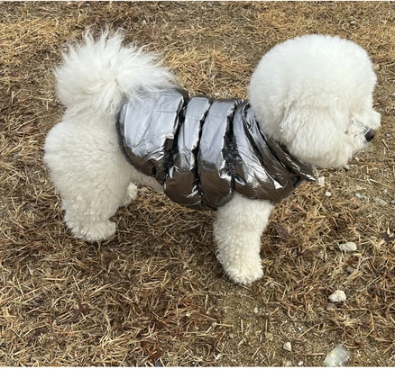 강아지 발열 패딩 조끼, 실버
