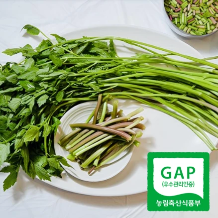 [청정지하암반수]로 키워낸 향긋아삭 산지직송 청도미나리, 1박스, 500g