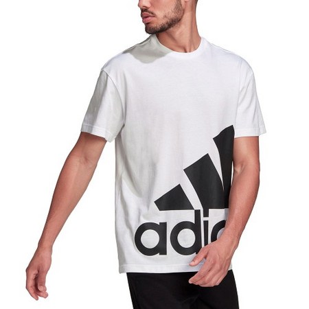 621e2128bcf37869253712c9852fdbe4ac9c89a6fa9d7b1af7a377e7d836.jpg