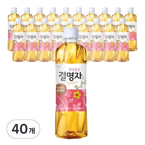 웅진 광명찾은 결명자차, 500ml, 40개-추천-상품