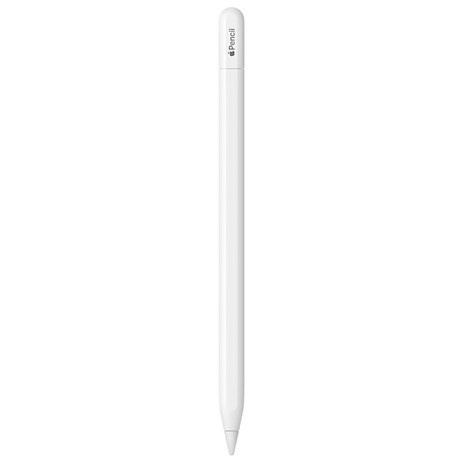 Apple 애플펜슬 USB-C MUWA3KH/A, 1개-추천-상품