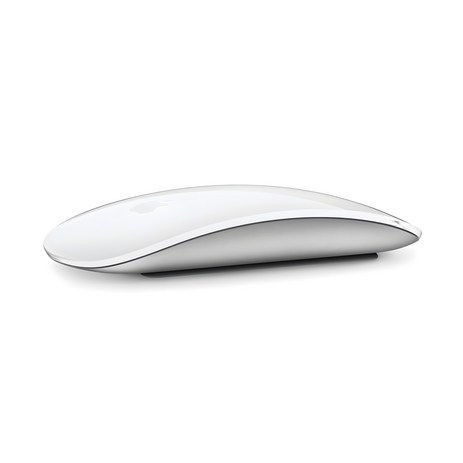 Apple 2021년 Magic Mouse, 화이트-추천-상품