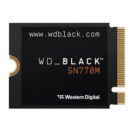 WD BLACK SN770M M.2 2230 NVMe 스팀덱 Ally호환 내장SSD, 1TB, WDS100T3X0G-추천-상품