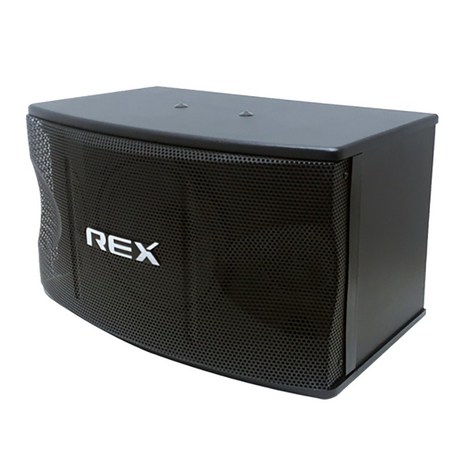 RX100 2Way 3Speaker 350W 고급형 10인치 노래방 카페 매장 업소 스피커 1조2개, 노래방스피커 RX-100-추천-상품