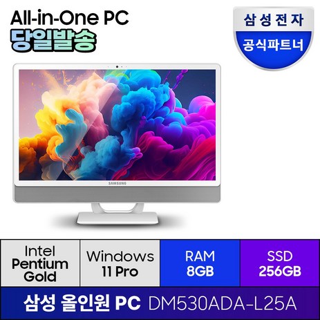 삼성전자 올인원 일체형 PC 프로스트 화이트 DM530ADA-L25A (펜티엄골드 7505 60.5cm WIN11 Pro) 기업용 사무용 학습용, 256GB-추천-상품