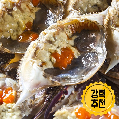 산지직송 당일조업 서해안 살아있는 암꽃게, 1개, 4kg-추천-상품