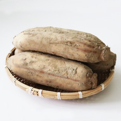 [후니팜] 24년 산지직송 아삭한 국내산 햇연근 흙연근 특품 1kg 3kg 5kg 10kg, 특품1kg, 1개-추천-상품