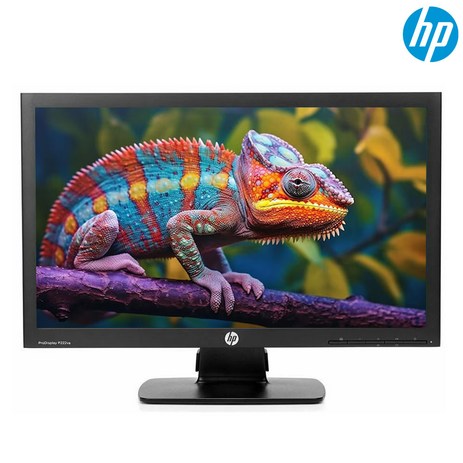 HP ProDisplay P222VA 22인치 FHD 중고 모니터-추천-상품