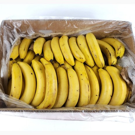 쥬스용 실속 낱발 고당도 바나나 13kg, 1개-추천-상품