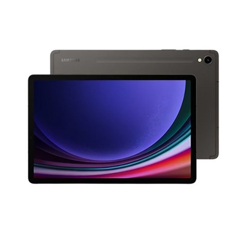 [삼성] 갤럭시탭 S9(5G) 256GB 그라파이트 SM-X716NZAEKOO-추천-상품
