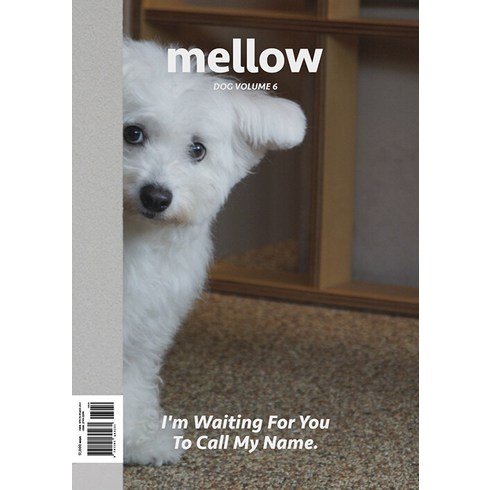 멜로우잡지 - [펫앤스토리]멜로우 매거진 Mellow dog volume 6, 펫앤스토리