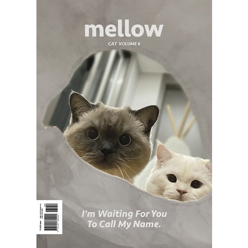 멜로우잡지 - [펫앤스토리]멜로우 매거진 Mellow cat volume 6, 펫앤스토리