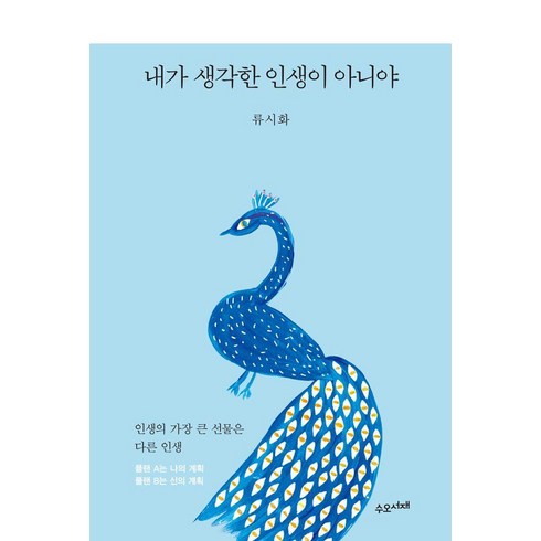 내가생각한인생이아니야 - 내가 생각한 인생이 아니야:인생의 가장 큰 선물은 다른 인생, 수오서재, 류시화