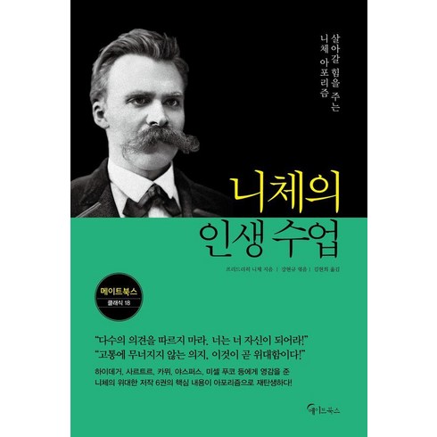 니체의인생수업 - 니체의 인생 수업:살아갈 힘을 주는 니체 아포리즘, 메이트북스, 프리드리히 니체