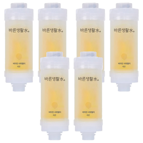 바른생활수 비타민 샤워필터, 6개, 레몬