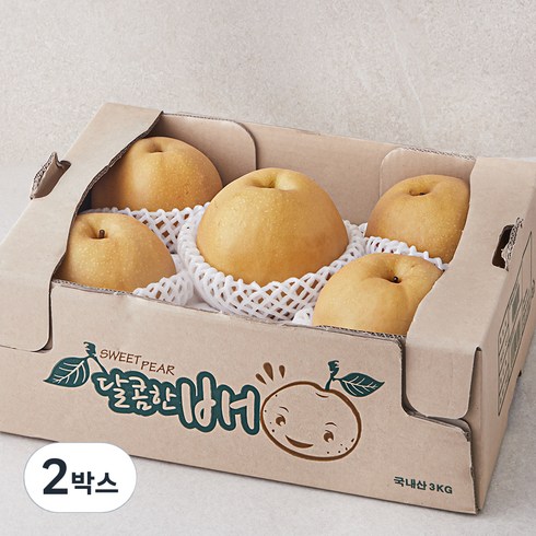 배 - 원농산 당도선별 신고배, 2박스, 3kg(3~6입)