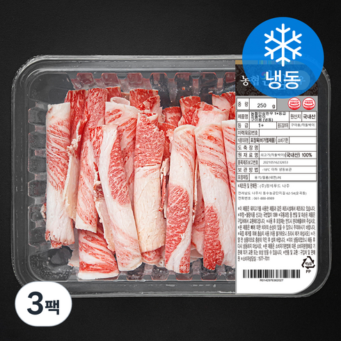 농협안심한우 차돌박이 1+등급 구이용 (냉동), 3팩, 250g