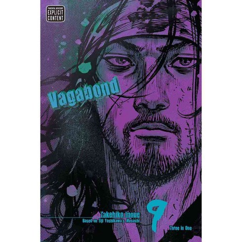 Vagabond 9: Vizbig Edition, Viz