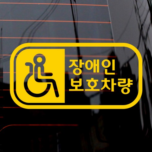 장애인차량 TOP01