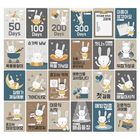 성장카드 TOP01
