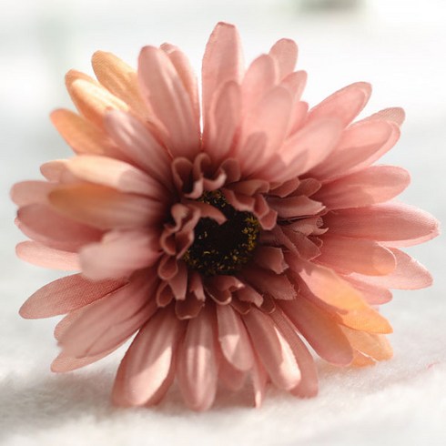 블럭마트 조화 거베라 국화꽃 5p, 샴페인