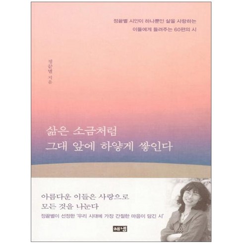 삶은 소금처럼 그대 앞에 하얗게 쌓인다, 해냄출판사, 정끝별 저