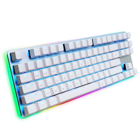 마이크로닉스 이중사출 PBT 유선키보드 스피드 은축, GANSS 87PRO RGB, WHITE