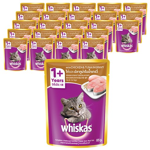 위스카스 고양이 주식 파우치 닭고기와 참치, 85g, 24개