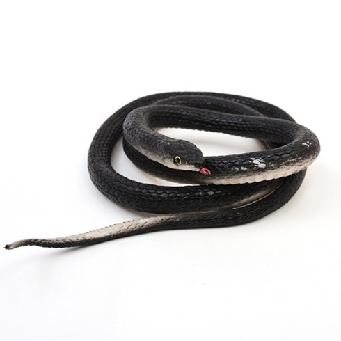 2023년 가성비 최고 팩터오스트로뱀 - 파티해 리얼 뱀 모형 검정, 1개