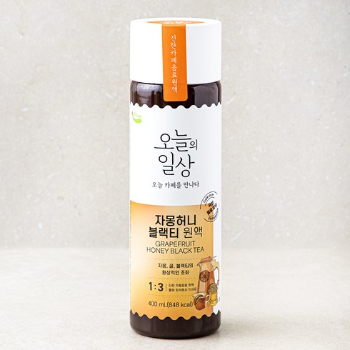 스타벅스자몽허니블랙티 - 오늘의일상 자몽허니블랙티 원액 400ml, 1개