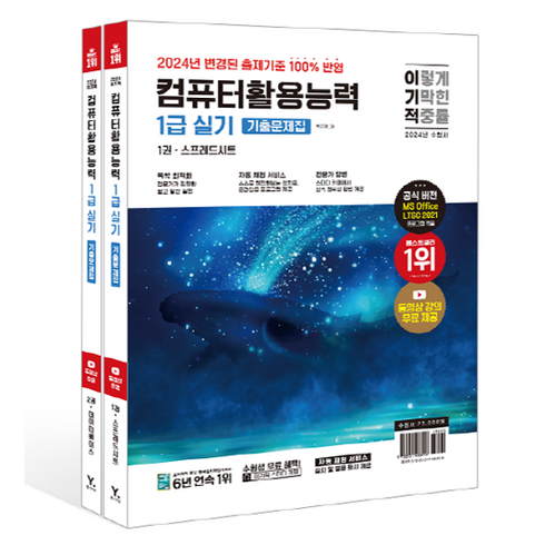 2024 이기적 컴퓨터활용능력 1급 실기 기출문제집 세트 전 2권, 영진닷컴