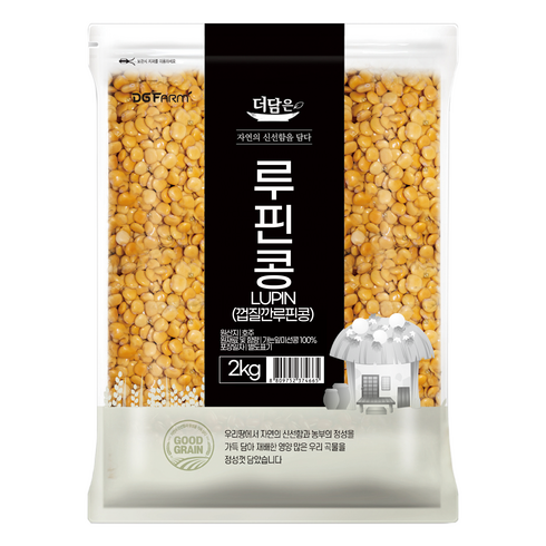 황금콩 - 더담은 루핀콩, 2kg, 1개