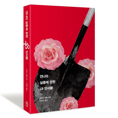 할미언니책 - 언니의 실종에 관한 48 단서들, 위즈덤하우스, 조이스 캐럴 오츠