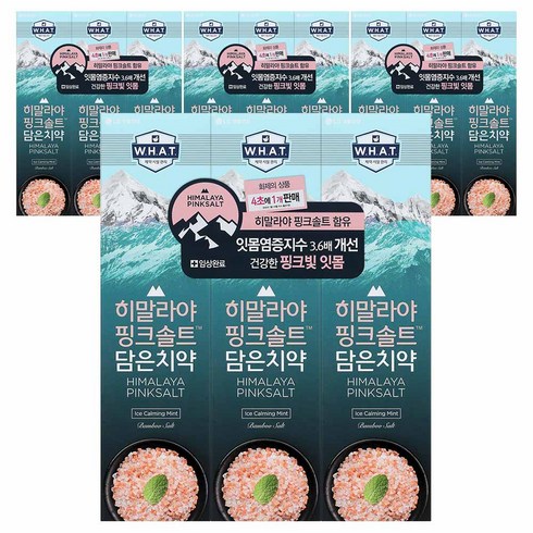 히말라야 핑크솔트 담은 치약 튜브형 아이스, 100g, 12개