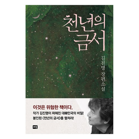 김진명소설 - [새움]천년의 금서 (개정판), 김진명, 새움