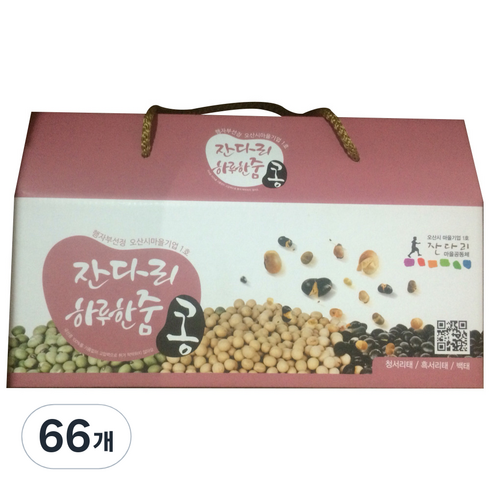 잔다리 하루한줌 볶음콩, 12g, 66개