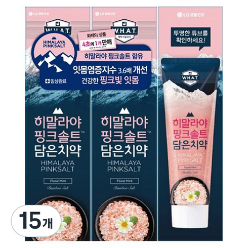 밤부솔트 히말라야 핑크솔트 담은 치약 플로럴, 15개, 100g