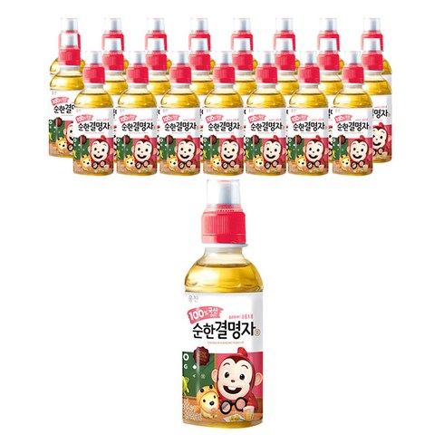 웅진 순한 결명자 차 음료, 200ml, 24개